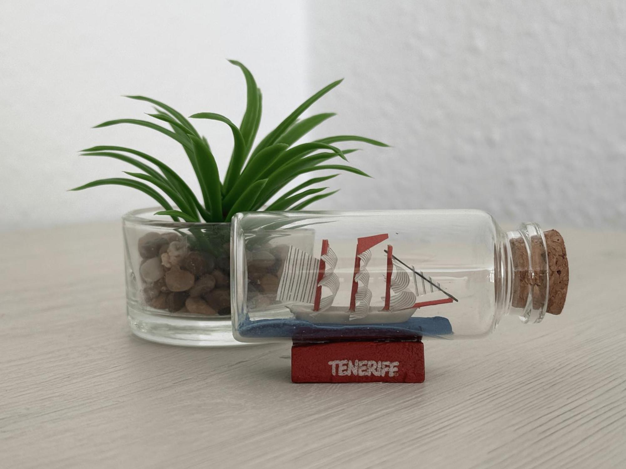 Apartament Americas Stunning Close To The Sea In Tenerife *